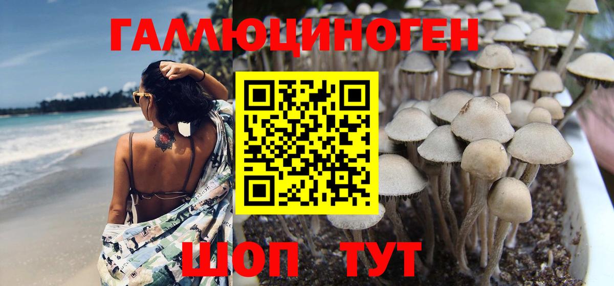 Псилоцибиновые грибы прущие грибы Еманжелинск