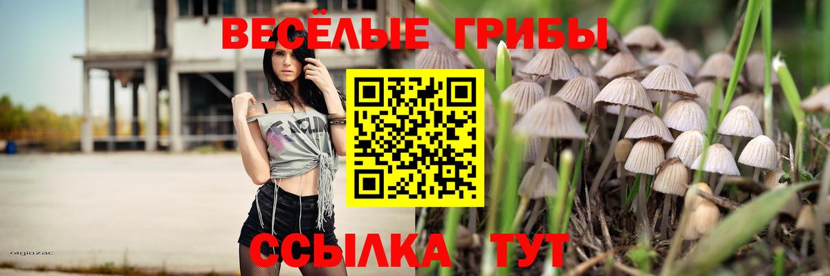 Еманжелинск  Псилоцибиновые грибы Psilocybine cubensis  Галлюциногенные грибы мицелий  Вход с VPN 